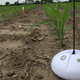 Image for article titled Soil Sensors Can Cut Farms’ Water Use By a Quarter During Drought